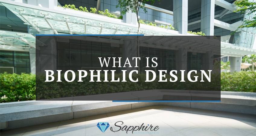 What Is Biophilic Design? Ideas for Your Office